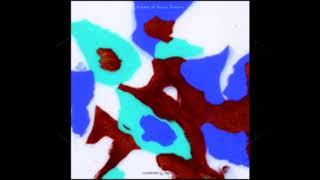 山本精一 - Crown Of Fuzzy Groove