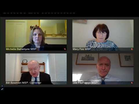 Delegated Powers and Law Reform Committee - 19 January 2021