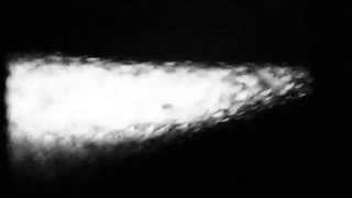 Ossa di Mare - Alisson