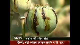India&#39;s biggest illegal opium farming busted : Hindustan main Afghanistan Part 1