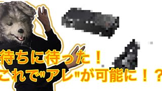 ついに！！あのアレが届いた！？