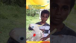 Download lagu Burung ini Untuk Om TNI😯#shortvideo #anak #papua #tni #kakatuajambulkuning mp3