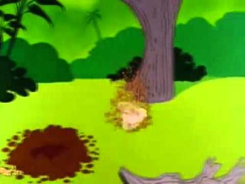 Tasmanian Devil tornado