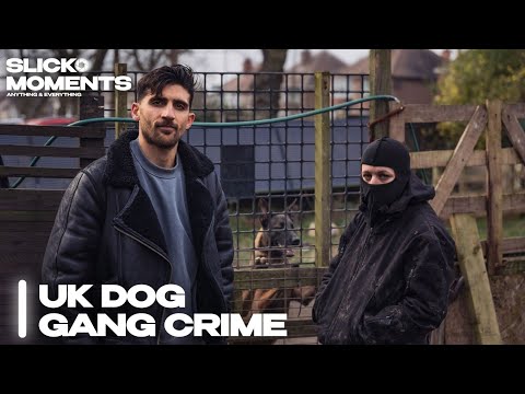Inside Britain's illegal Dog Fighting Gangs | Gang Crime | Slick Moments