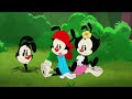 Animaniacs 2020 What Is That