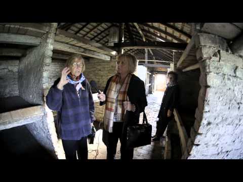 Wywiad z Ocalałymi z obozów w Auschwitz i Auschwitz-Birkenau