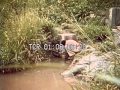 1960s Nile River Basin And The People Of The Upper River