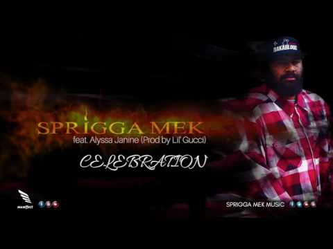 Sprigga Mek - CELEBRATION ft. Alyssa Janine  (Prod by Lil Gucci)