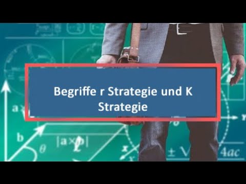 Begriffe r Strategie und K Strategie