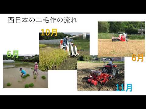 【山口大学OC2025／農学部／生物資源環境科学科】1 栽培学分野