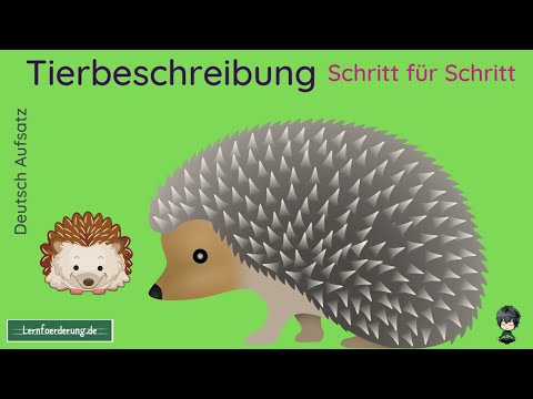✅ Tierbeschreibung - Schritt für Schritt Anleitung