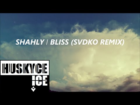 Shahly - Bliss (SVDKO Remix) (audio)
