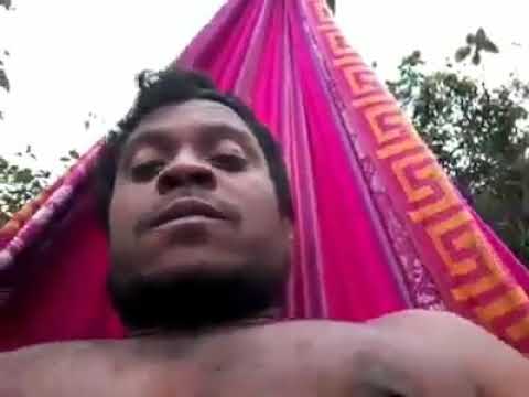 suanfanson el origen