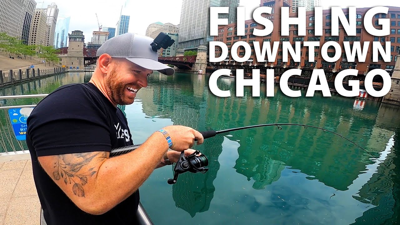 Catching GIANT FISH in Downtown Chicago Riverwalk Field Trips Illinois