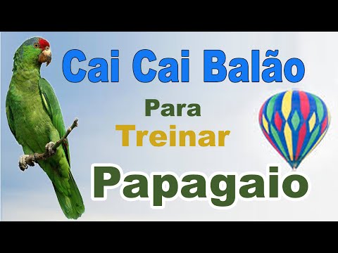 Assobio cai cai balão para papagaio - canto cai cai balao para treinar papagaio