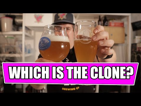 Is this ethical? How to clone a Blue Moon Beer