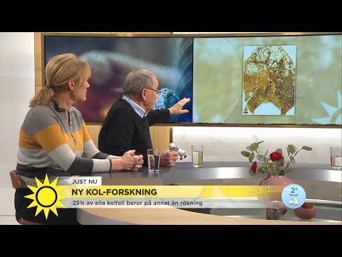 Varje år dör 3000 svenskar av kol – unik svensk uppfinning kan rädda liv - Nyhetsmorgon (TV4)
