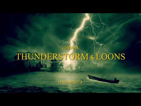 1 Hour Thunderstorm & Occasional LOON Call {No Music} Noise Cancelling