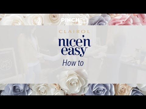 Clairol Nice 'n Easy How To