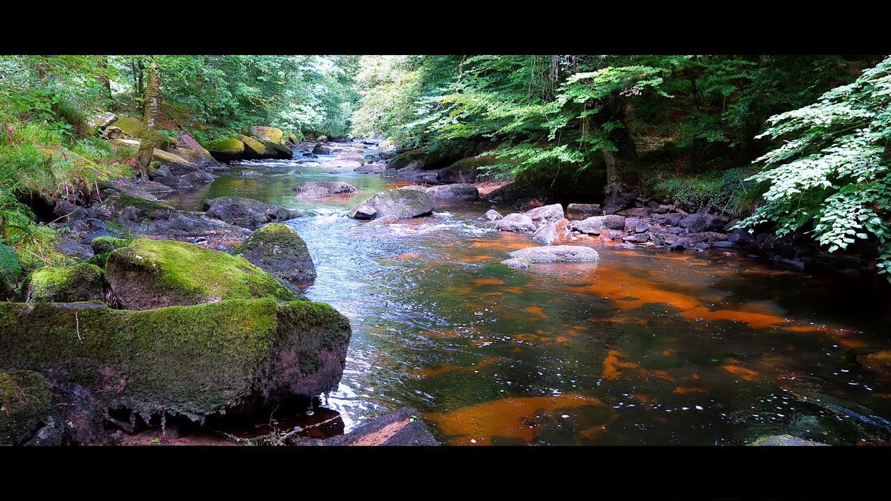 Le Scorff   - vallée de Pont Calleck (56)