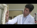 South Floridas Top Chiropractic Care Services Back To Mind Chiropractic
