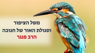הרב פנגר - משל הציפור וסגולת האור של חנוכה (הרב יצחק פנגר) - התמונה מוצגת ישירות מתוך אתר האינטרנט יוטיוב. זכויות היוצרים בתמונה שייכות ליוצרה. קישור קרדיט למקור התוכן נמצא בתוך דף הסרטון הרב פנגר - משל הציפור וסגולת האור של חנוכה (הרב יצחק פנגר) - התמונה מוצגת ישירות מתוך אתר האינטרנט יוטיוב. זכויות היוצרים בתמונה שייכות ליוצרה. קישור קרדיט למקור התוכן נמצא בתוך דף הסרטון