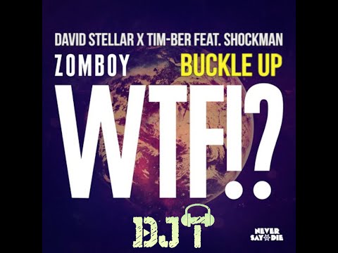 Buckle Up vs. WTF! (DJT Mashup)