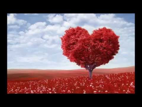 Never Alone-Amy Powers