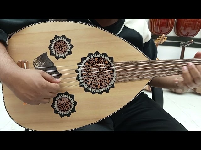 عود كهربائي احترافي سوبر لوكس