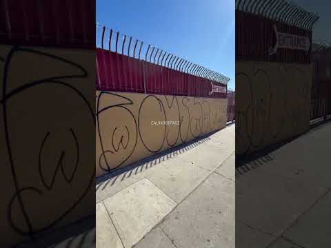 Hangout Boys 55 Bunch