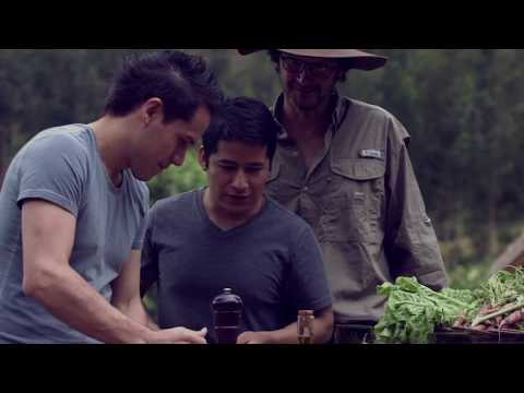 download lagu mp3 mp4 Caf Inkaterra, download lagu Caf Inkaterra gratis, unduh video klip Caf Inkaterra