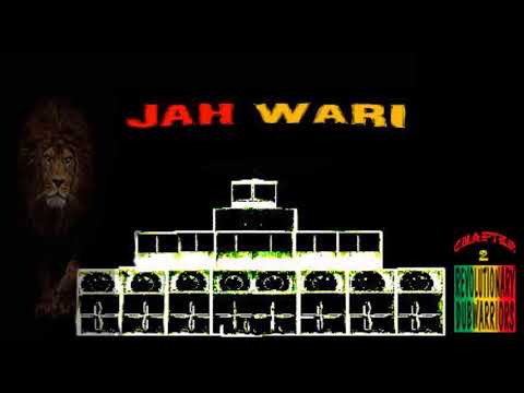 ----------------- STEPPA ROOTS DUB WARRIORS ----------------------- (2)