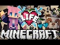 ﾟ Panda Chaos ﾟ Ep 6 Minecraft X Life SMP