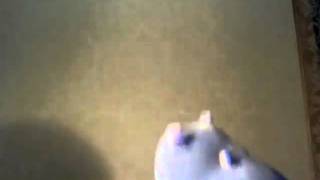 dance hippo goes CRAZY!