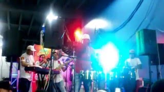 Pirulo y la Tribu, En ViVo, "Lo Qué Traigo Es Salsa"
