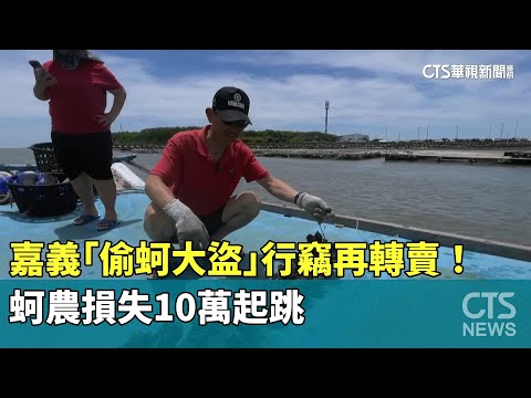 嘉義「偷蚵大盜」行竊再轉賣！　蚵農損失10萬起跳