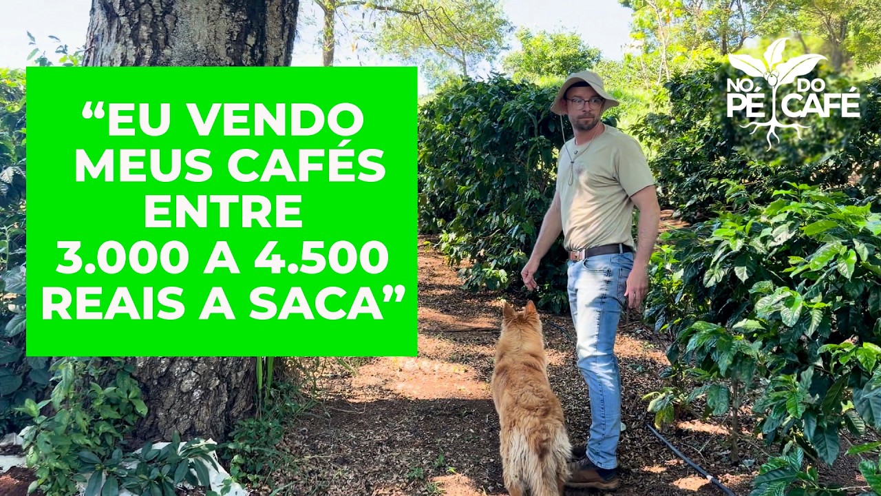 Uma maneira de aumentar a lucratividade que está ao alcance de todo cafeicultor!