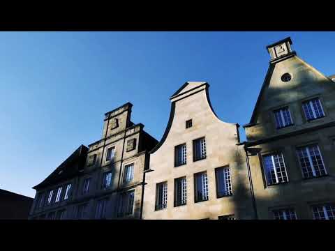 Iphone 12 mini cinematic video with Zhiyun Smooth Q2 (trailer video)