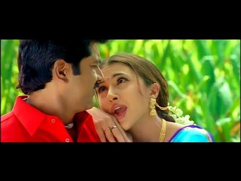 எத்தனை முறை கேட்டாலும் சலிக்காத காதல் பாடல்கள் | Tamil Love Melody Songs | Tamil Ever Green Songs