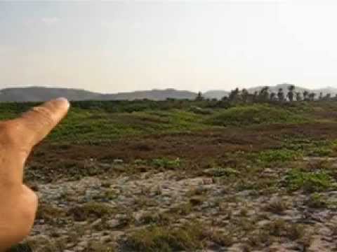 TERRENO PALMA SOLA 008