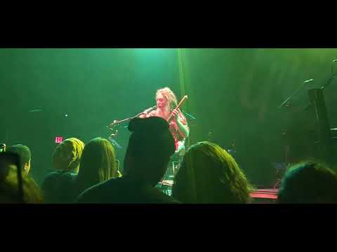 Mike Love "Sun is Shining"