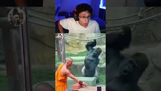 ATÉ O GORILA SE IMPRESSIONOU!!!  #memes #react #jorgetdduro