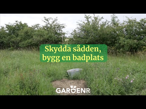 Skydda sådden, bygg en badplats - Trädgårdshacks med GardenR