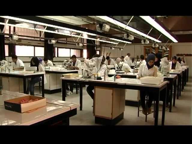 Cadi Ayyad University - Faculty of Science and Technology Marrakech video #1