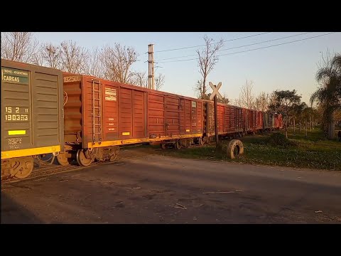 Tren 5004/9791 por PAN Ruta 325, Simoca. Tucumán 💪🚂