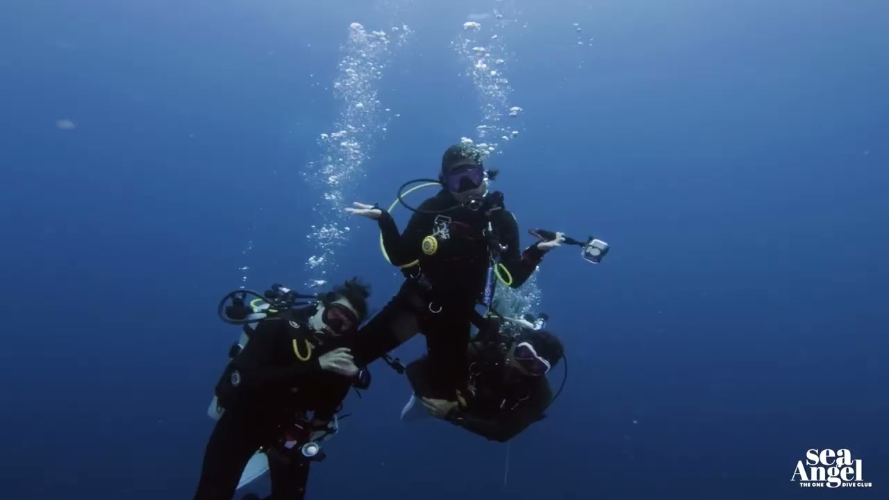 Follow us and dive into the depths of the ocean, experiencing the wonders of scuba diving!