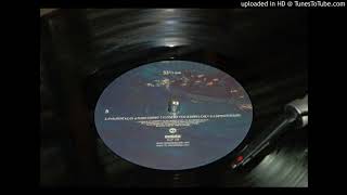 The avalanches - Avalanche Rock (vinyl audio)