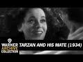 Clip Tarzan And His Mate Warner Archive