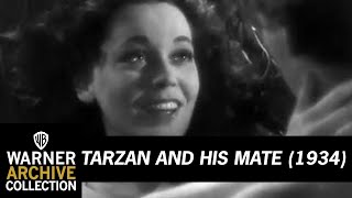 Download lagu Clip | Tarzan and His Mate | Warner Archive mp3 Download lagu Clip | Tarzan and His Mate | Warner Archive mp3