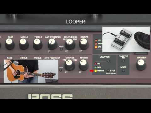 Zuhal Youtube Videos